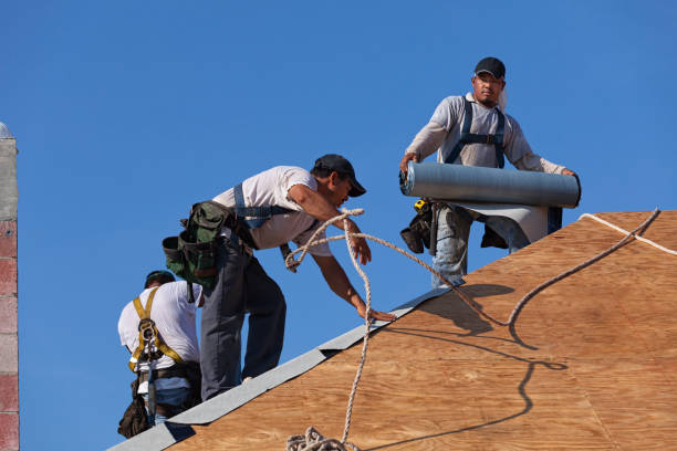 Best Storm Damage Roof Repair  in Hokendauqua, PA